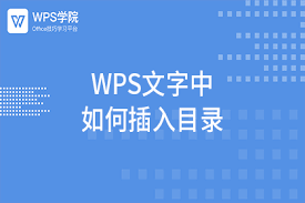 WPS-13